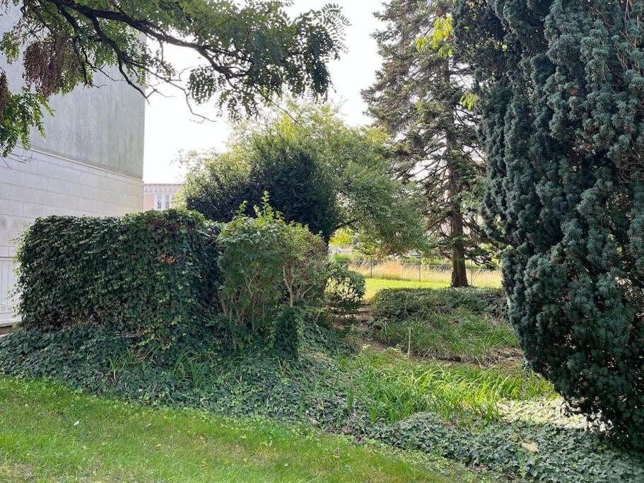Maisons De Champagnes * Reims